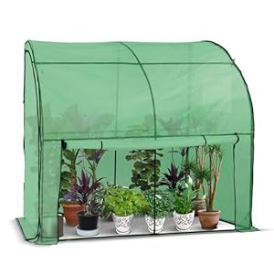 VOUNOT® Gewächshaus Foliengewächshaus, Anlehngewächshaus mit Seitenwände Aufrollbar, Tomatengewächshaus Winterfest Stabil, 200x100x180cm Grün