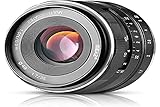 Lens construction: 6 elements 5 groups, aperture range of f1.7-f22