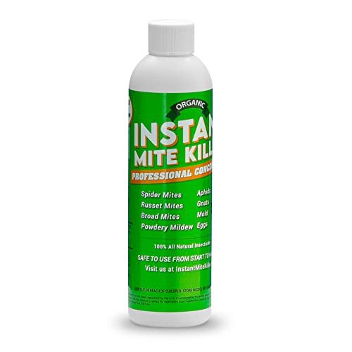 Top 11 Best Powdery Mildew Killer Reviews (2023)