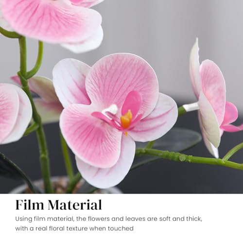 Image of HASTHIP Artificial Moth Prchid Flower, Artificial Orchid Plants for Home Decor, 28CM Artificial Plants with Cement Pot, Faux Orchid Flowers for Desk Decor, Rubber Artificial Plants for Decoration