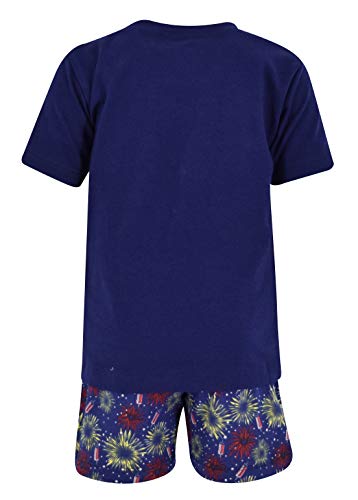 Boys 2pc Shorts Set Outfit Short Sleeve Shirt with Fun Applique Print and Shorts3