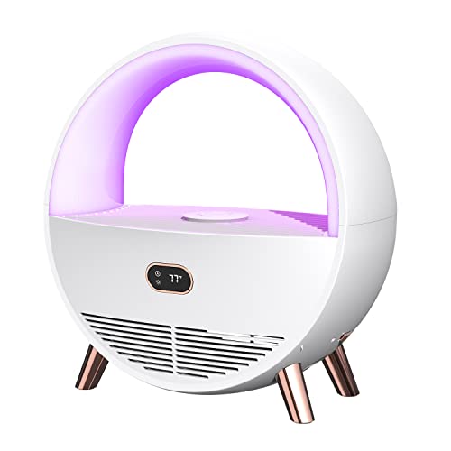 Top 10 Best Electric Fruit Fly Trap Reviews & Buying Guide Katynel