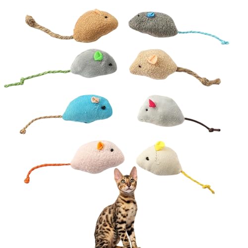 Lifetips xK Lp lY~ʂ 8Zbg qL L V XgXU ^s ӂӂf L炵  ybgObY