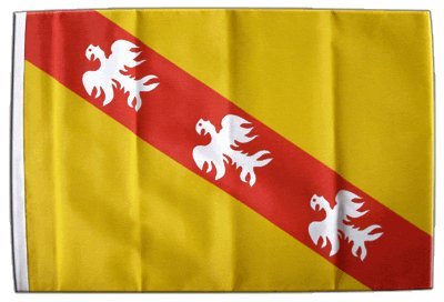 Digni® Drapeau France Lorraine 30 x 45 cm