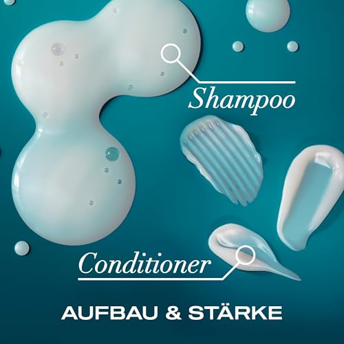 Foto von OGX Renewing Argan Oil of Morocco Shampoo (385 ml), regenerierendes Haarshampoo mit marokkanischem Arganöl, Haarpflege für trockenes Haar, ohne Sulfate & Parabene