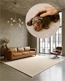 TEXMAXX Weicher Kurzflor Teppich Wohnzimmer mit rutschhemmender Rückseite (160 x 230 cm) - Modern für Flur, Esszimmer und als Schlafzimmer Teppich in Beige - Waschbar bis 30 Grad