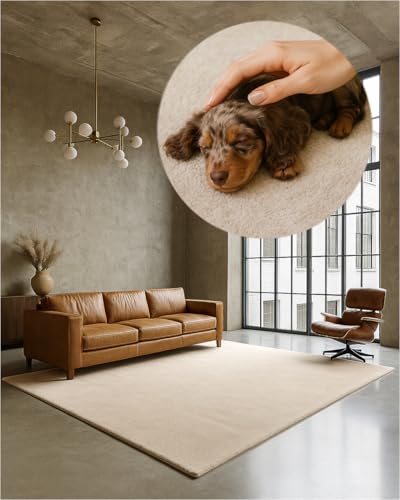 TEXMAXX Weicher Kurzflor Teppich Wohnzimmer mit rutschhemmender Rückseite - Verschiedene Größen und Farben