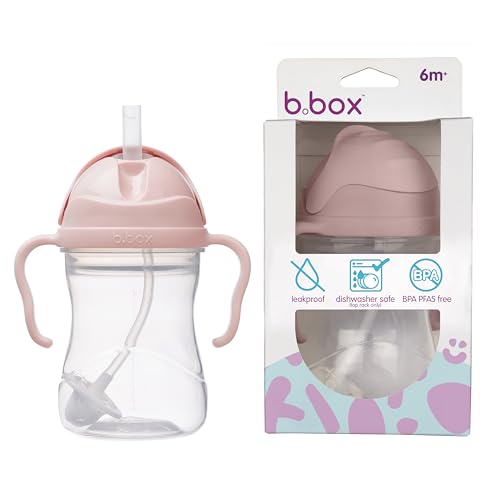 b.box(ビーボックス) ストローマグ 漏れない どんな角度からでも飲める 出産祝い 【b.box正規品】 【シッピーカップ】 (ブラッシュ, 1個 (x 1))