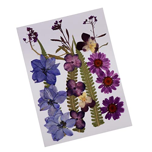 Flores secas prensadas naturales mezcladas para manualidades miniatura 3