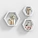 AHDECOR Estantería de Pared estantes de Pared hexagonales de 3 Estante Retro Colgantes Decorativo Baldas Flotante Pared Blanco