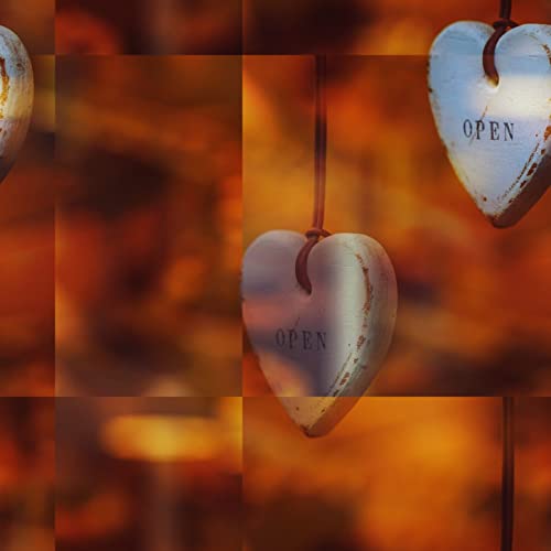 Pita Bread Pita Bread