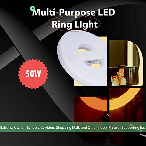 Gesto 50W Ring Shape High Bright Led Bulb-Upto 85% Energy Saving-B22 CFL Led Bulb for home,office,shop,hospital,factory-(Cool White-6500K) Pack of 1