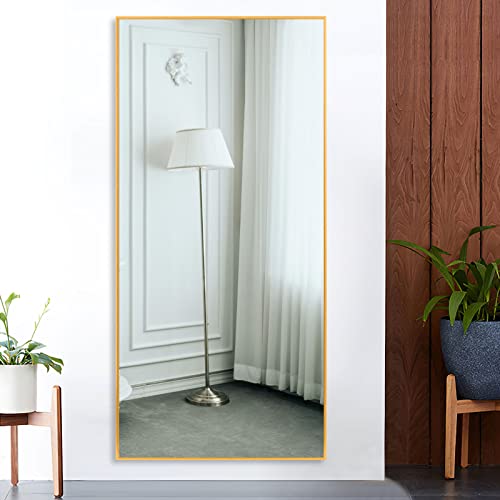 Image of NeuType 47 inchx22 inch Full Length Mirror Aluminum Alloy Frame Dressing Mirror for Bathroom /Bedroom /Living Room /Dining Room /Entry, Wall Mounted or Leaning Against Wall, Golden (No Stand)