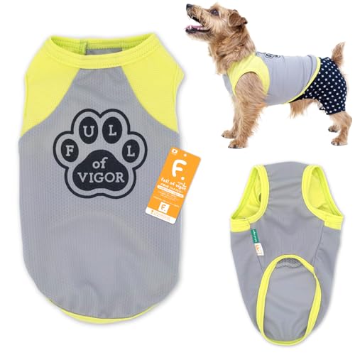 �_�b�N�X ���� �v�����g �h�� �^���N�g�b�v �����ё΍� ���̕� �t���I�u�r�K�[ 13/�O���[ DM