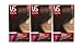 Vidal Sassoon Pro Series London Luxe Hair Color Kit, 4GN Dark Royal Chestnut, (Pack of 3)