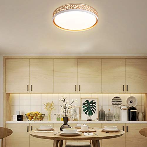 15.8 Inch Ceiling Light