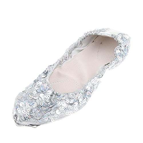 2xWomen Girl Belly Dance Shoes Non-slip Soft Soles Performance Shoes L Silver-Clothing, Shoes & Accessories - Dancewear - Adult Dancewear - Belly Dancing