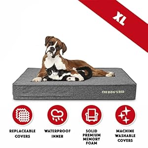   The-Dogs-Bed-Orthopedic-Memory-Foam-Dog-Bed-XL-Grey-Linen-46x28-Pain-Relief-for-Arthritis-Hip-Elbow-Dysplasia-Post-Surgery-Lameness-Calming-Waterproof-Washable-Covers