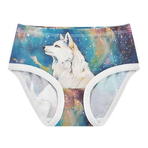 Wolf Galaxy Toddler Girls's Underwear 2T 202b9429