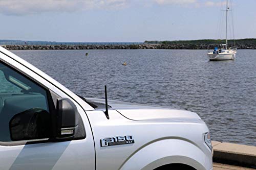 image for iJDMTOY Set of 7-Inch Short Radio Antenna Topper Compatible with Ford 