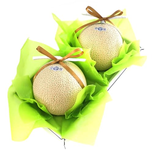 NE}XN XyV2 AILt[c}CX^[I [NE}XN] ʕMtg 蕨 a v[g j j oYj  䌩 މ@j Cj Ε Ε ~Mtg RT