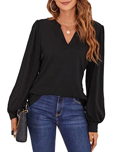 BMJL Womens Work Blouse Dressy Business Casual Tops Long Lantern Sleeve V Neck Office Fall Shirt