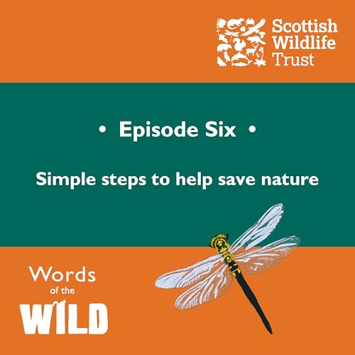 Simple steps to help save nature