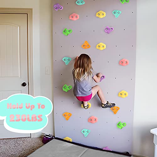 image for TOPNEW 18PCS Climbing Holds for Kids, Rock Wall Climbing Kit with Hard