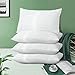 Acanva Hypoallergenic Pillow Insert Form Cushion, Square, 12" L x 20" W, Pack of 4