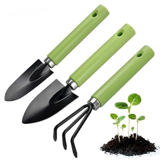 KITCISSL lot de 3 petits outils pour pots et bonsaïs