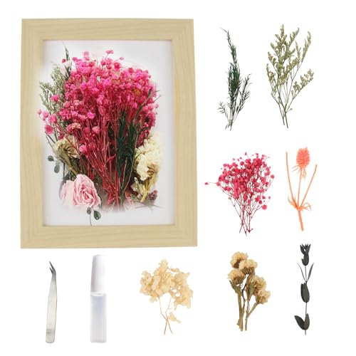 CHENYU Marco de Fotos 3D con Profundidad 20 x 16 cm para Flores Secas - Kit de Bricolaje con Pegamento y Clips - Ideal para Boda, Cumpleaños, Graduación