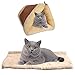 BRKURLEG Coperta autoriscaldante per gatti e cani, dimensioni: 90 x 59 cm, tappetino termico innovativo ed ecologico, 2 in 1 tubetto e letto grande