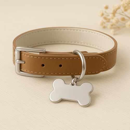 Coleira Couro Legitimo com osso Dourado Tag Plaquinha Identificação (PRATA,P -23 Centimetros (Ajustá