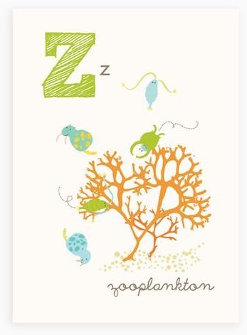 Sea Urchin Studio - Z is for Zooplankton - ABC Alphabet Wall Art for Kids