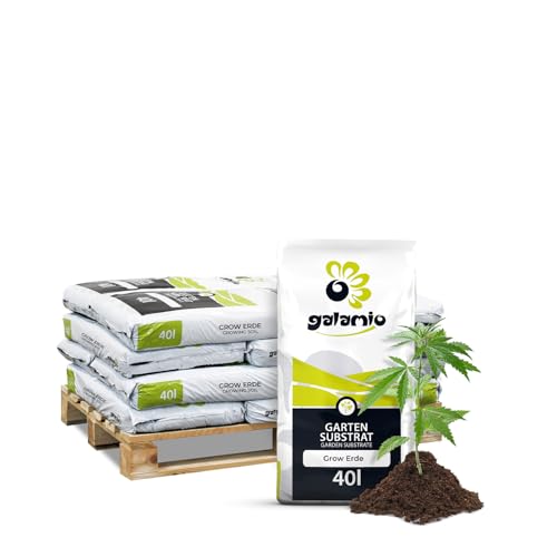 (-74%) GALAMIO – Grow-Erde 480L (12x40L) Blumenerde für Cannabis, Palmen | 80% Hochmoortorf mit Perlite, aufgedüngtes Substrat – luftdurchlässig für Indoor-Anbau, Outdoor und Kübelpflanzen