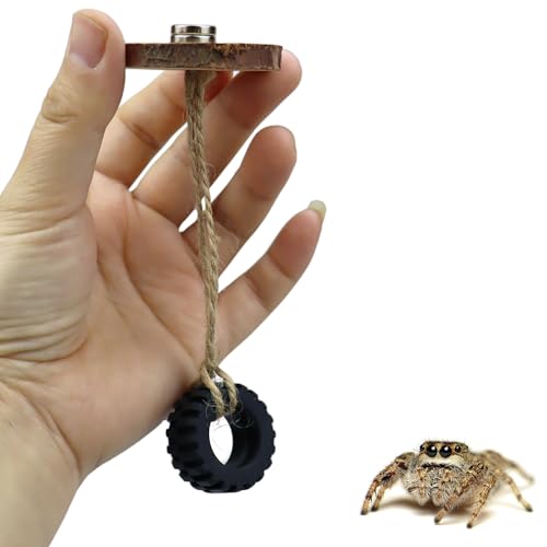 2 Pack Jumping Spider Swing with Magnets for Spoods Pet Spider Jumping Spider Hide Jumping Spider Enclosure Accessories