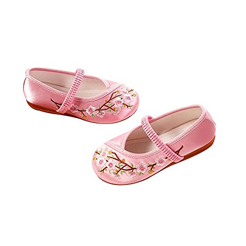 Stunner Girls Mary Jane Flat Shoes Embroidered Princess Dress Shoes Slip on School Party Flats(Toddler/Little Kids/Big Kids)