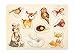 Small Foot Small Foot-11499 Set Puzzle Foresta, Legno con Motivi di Animali Carini, dai 12 Mesi Giocattoli, Multicolore, 11499