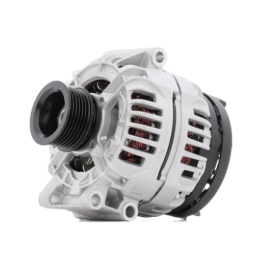 RIDEX Alternateur 14V, 98A, 6001548061 6601548061 7700421477 Compatible avec RENAULT Clio II 3/5 portes BB, CB, BB0/1/2, CB0/1/2 Kangoo I KC, KC0/1 Megane II...