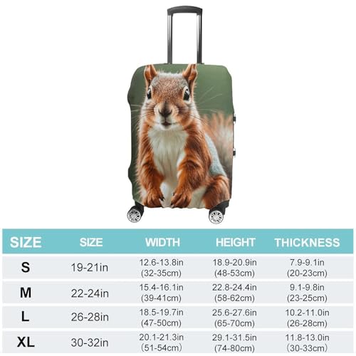 Carry on Luggage Cover Cute Squirrels Suitcase Covers for Luggages Tsa Approved Travel Luggage Sleeve Protector Elastic Suitcase Protector Anti-Scratch Washable Fits 19-30 Inch Case -L2