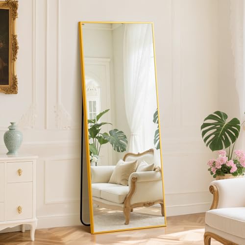 DUMOS Full Length Mirror with Stand 24"x65" Floor Standing Aluminum