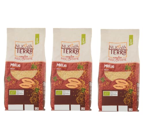 Sarrasin, Biologique, Maintient intactes les propriétés nutritionnelles, Source de protéines, Riche en fibres et en magnésium, Pack 3 x 300 g Cover