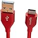 Amazon Basics Double Braided Nylon USB-C to USB-A 2.0 Fast Charging Cable, 3A - 10-Foot, Red