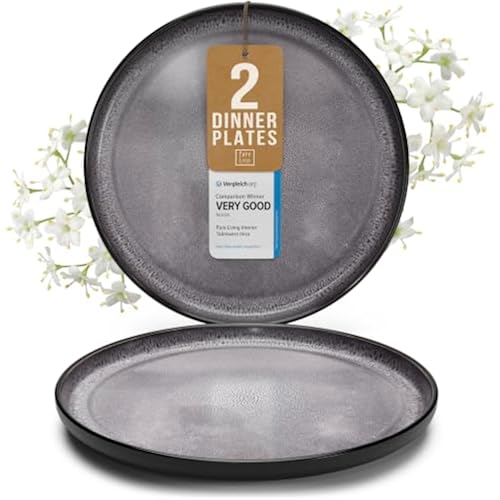 Stoneware Dinner Plate Set for 2, 10.6" Large Kitchen Plates, Raised Rim