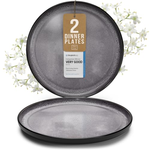 Stoneware Dinner Plate Set for 2, 10.6" Large Kitchen Plates, Raised Rim