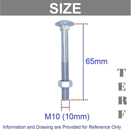 TERF® M10 X 65mm Cup Square Carriage Bolt and Nut M10 (10mm) X 65mm Coach Bolts with Hexagon Nuts - Pack of 4 - Image 3
