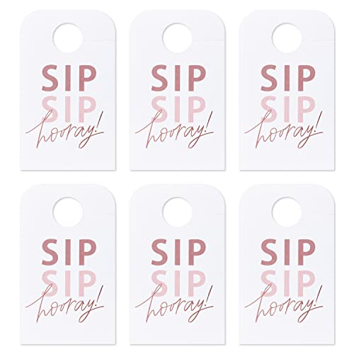 American Greetings Bottle Tags, Sip Sip Hooray! (6-Count)