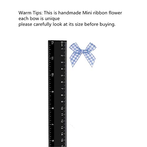 Viviquen Gingham Craft Ribbon Bows Mini Checkered Ribbon Flowers Appliques For Sewing, Gift, Diy Craft, Wedding Decoration Ornament (Light Blue, Small Size 48Pcs) #TOP1
