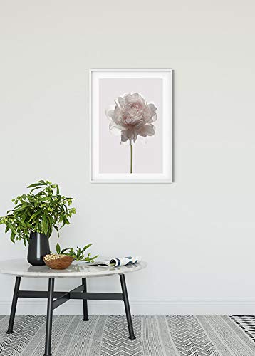 Komar Wall Picture, White, Pink, Green, 50L x 40W cm - Image 2