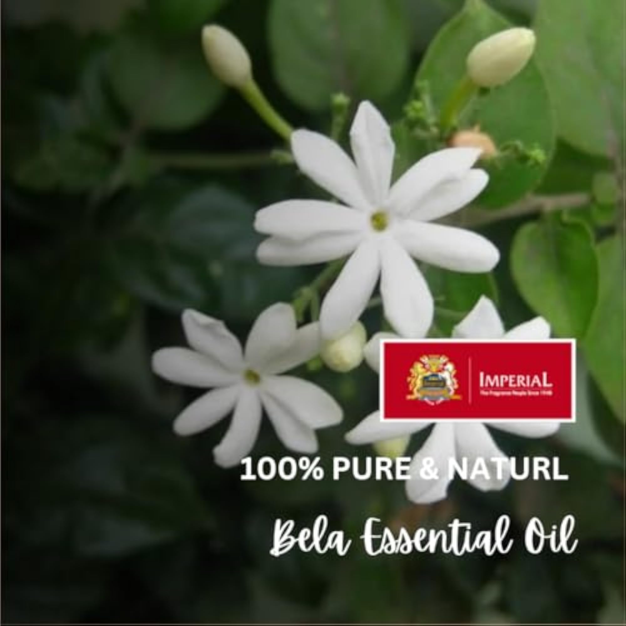 Imperial Bela Essential - Therapeutic & Cosmetic Oils, 25ml